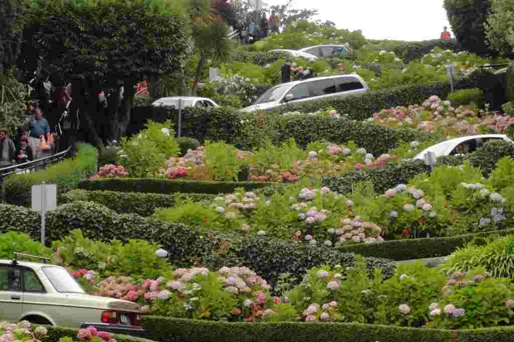 Lombard Street San Francisco