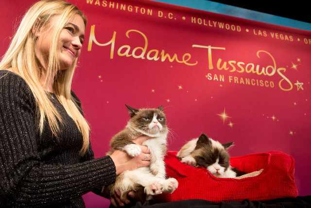 Musée Madame Tussauds San Francisco