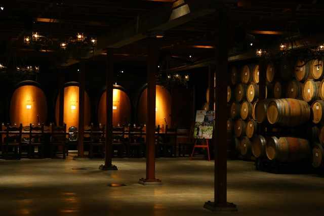Vignoble Napa Valley