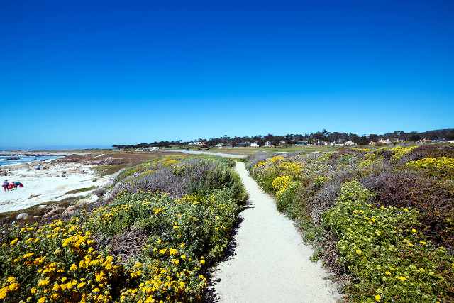 17-Mile Drive Californie