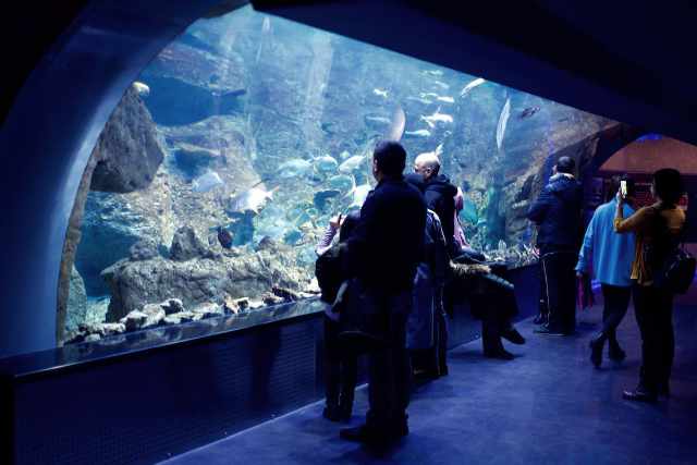 Aquarium Monterey Californie